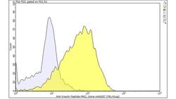 insulin peptide MHC, Mouse anti-Mouse, Clone: mAb287, Millipore Sigma:Antibodies:Primary